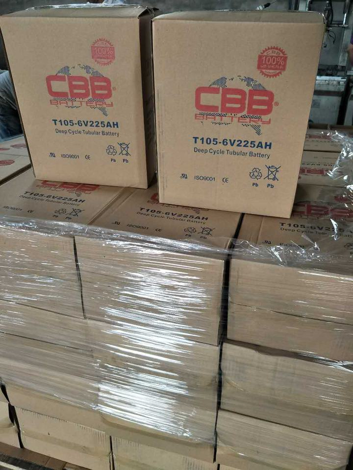 Bateria Tubular de Ciclo Profundo Inundada T105 6V 225ah para Veículo de Passeio Triciclo