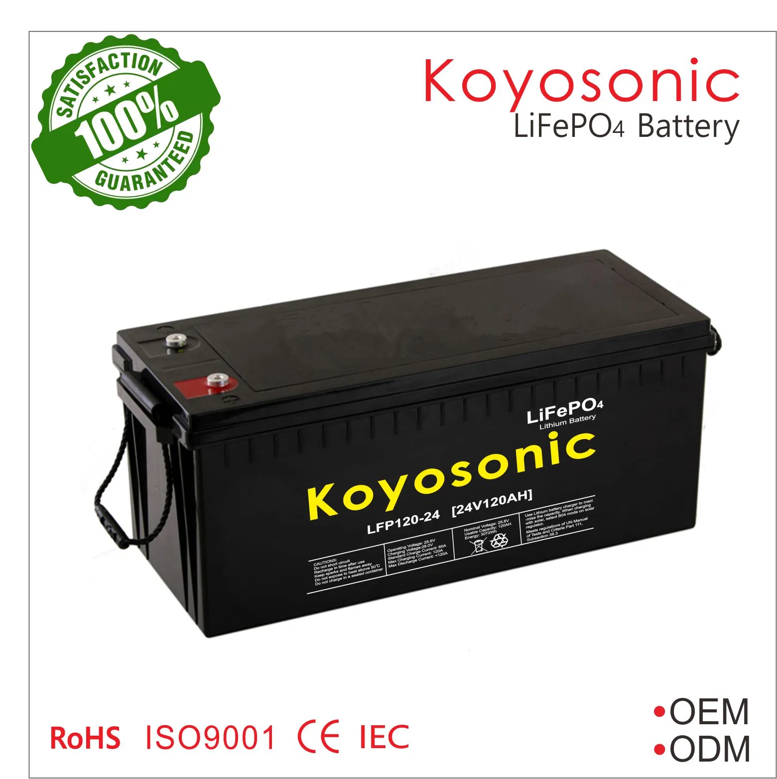 24V Célula de Bateria de Lítio 12V 48V50ah 100ah 200ah 300ah LiFePO4 Bateria para Barco Solar/RV/PV