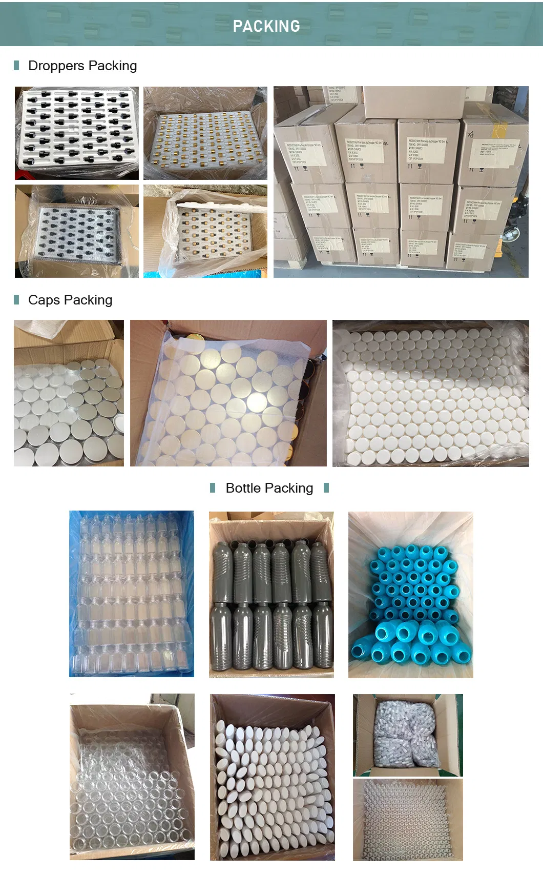 Packaging & Shipping Process
