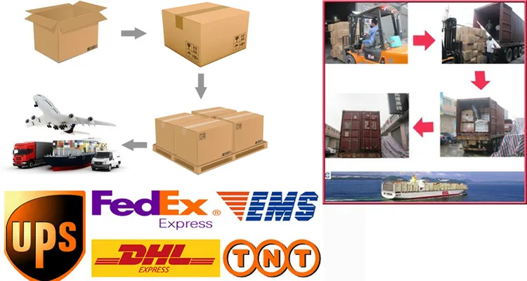Shipping Logistics
