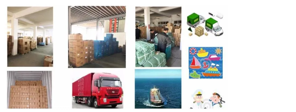 Packaging Information