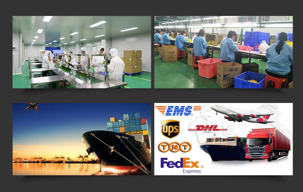 Shipping and Packing