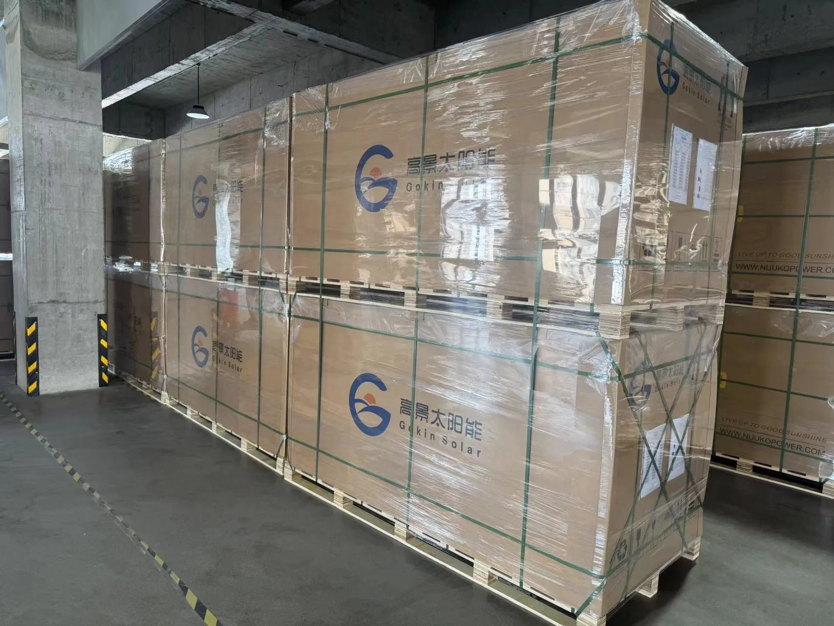 Módulos de Alta Eficiencia de la Serie Gokin Bc con la Serie Flamingo / Modelos de Negocio de la Industria Fotovoltaica / Serie Gem
