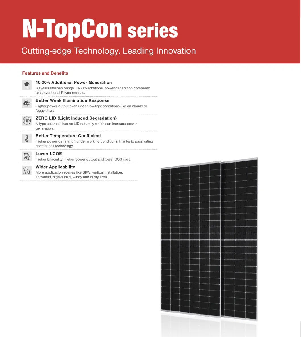 Panel Solar Bifacial