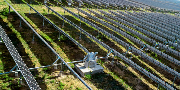 Soluciones de Montaje de Paneles Solares Duraderos para Uso Agrícola