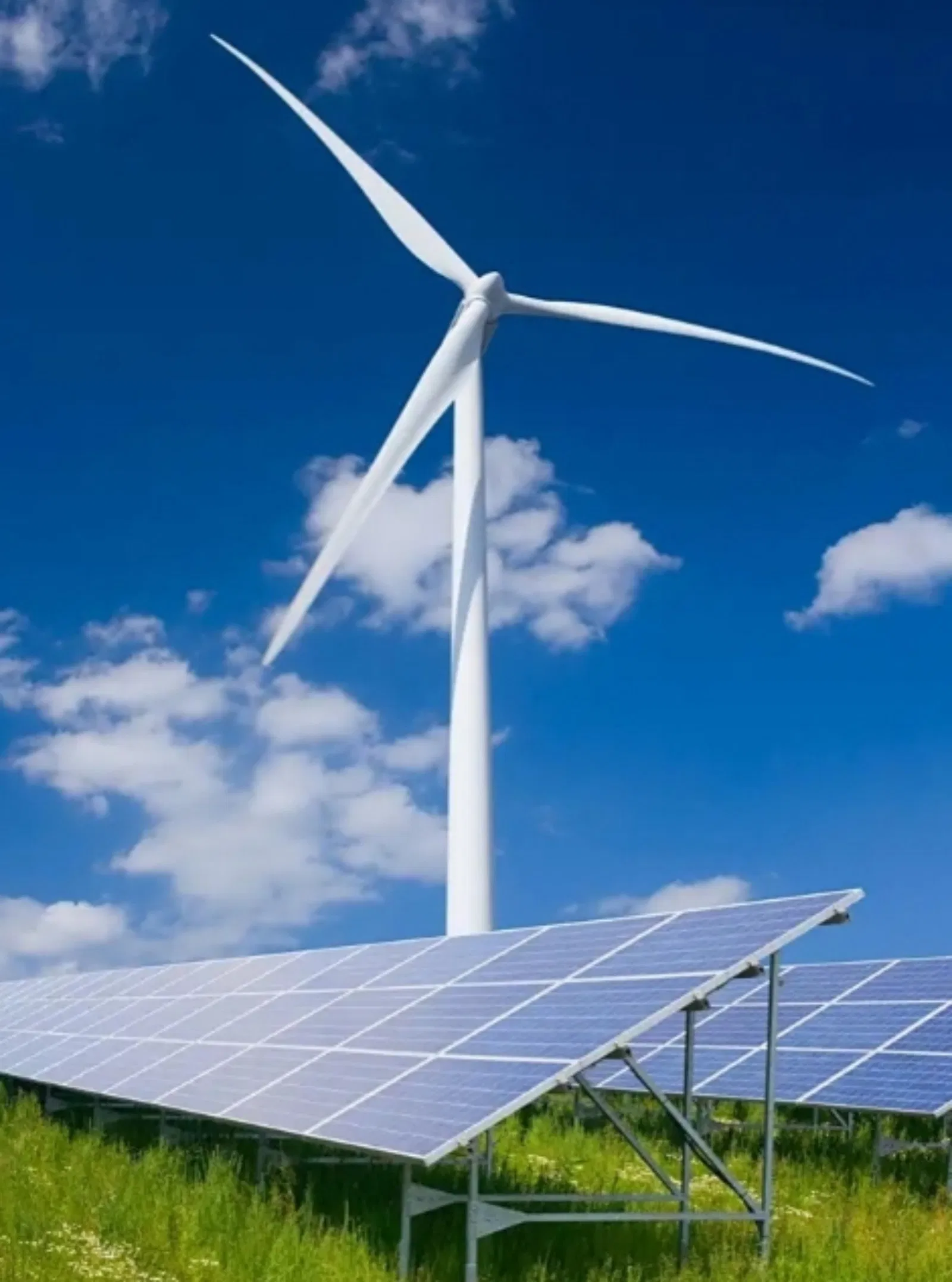 Módulos Fotovoltaicos Bifaciales de Alta Eficiencia 550-720W para Uso Global