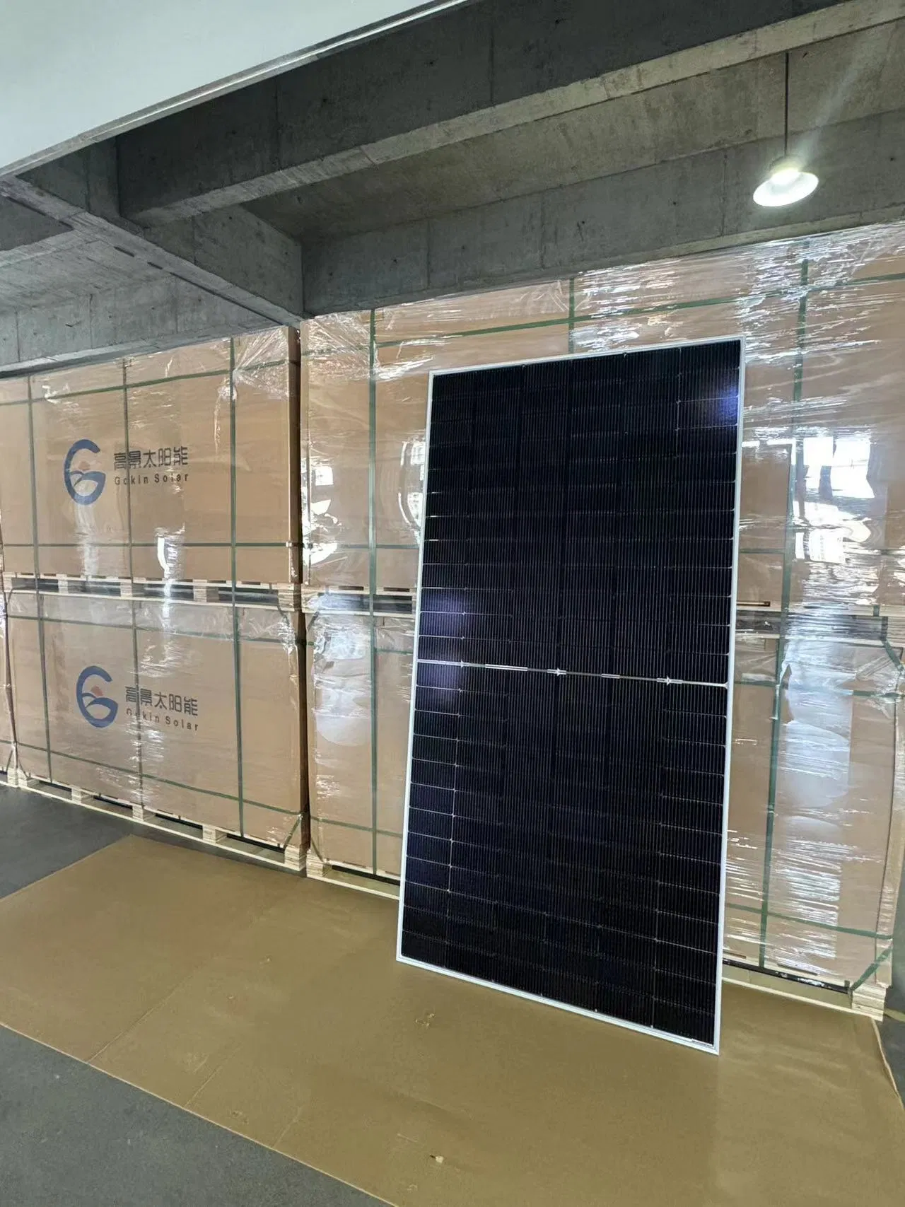 Módulos de Alta Eficiencia de la Serie Gokin Bc con la Serie Flamingo / Modelos de Negocio de la Industria Fotovoltaica / Serie Gem