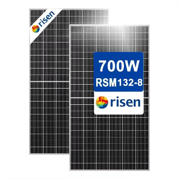 Módulos Fotovoltaicos Bifaciales Heterojunción Hjt Hyper Ion de Risen Energy Solar Panel 700W 710W 715W 690 Watt
