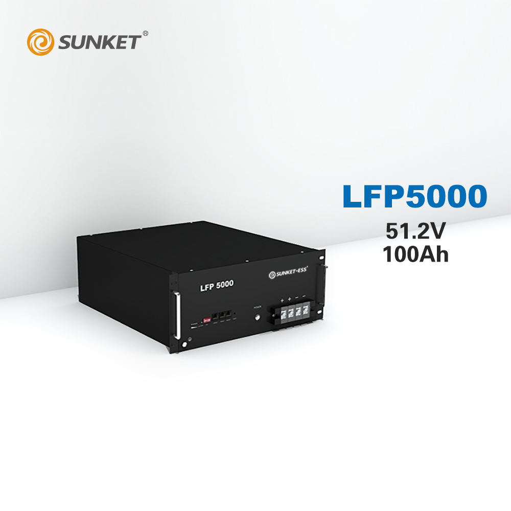 Sunket Batteries US3000 5000 Rack Mount LiFePO4 48V 50Ah 100Ah 200Ah Lithium Ion Battery 5KWH 10KWH Lithium Battery