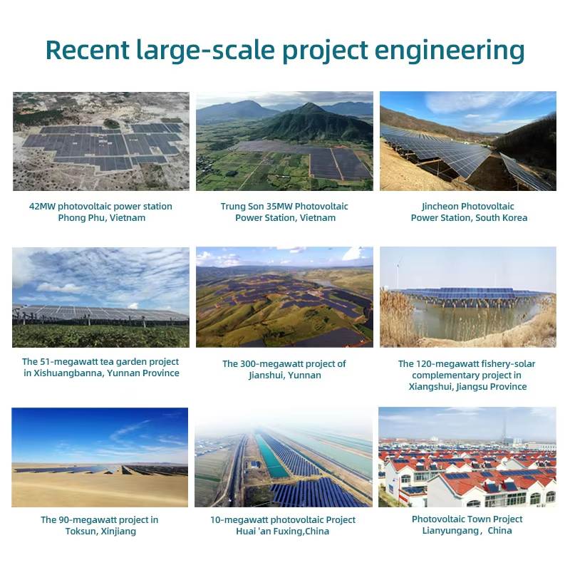 Project Case
