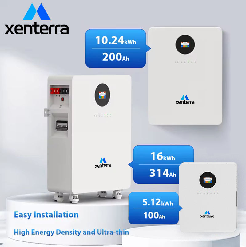 8000+ Cycle 5- 10 Years Warranty LFP 10Kw 15Kwh Lifepo4 Battery Pack 51.2V 300Ah 48V Battery Packs Solar Lifepo4 Batteries