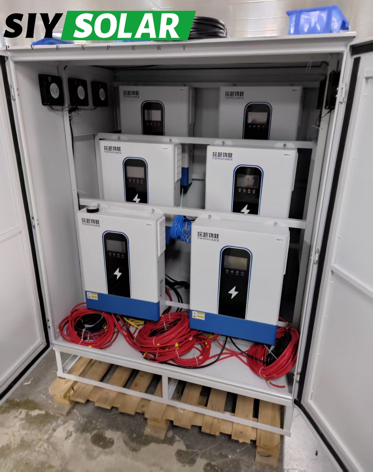 Case 6