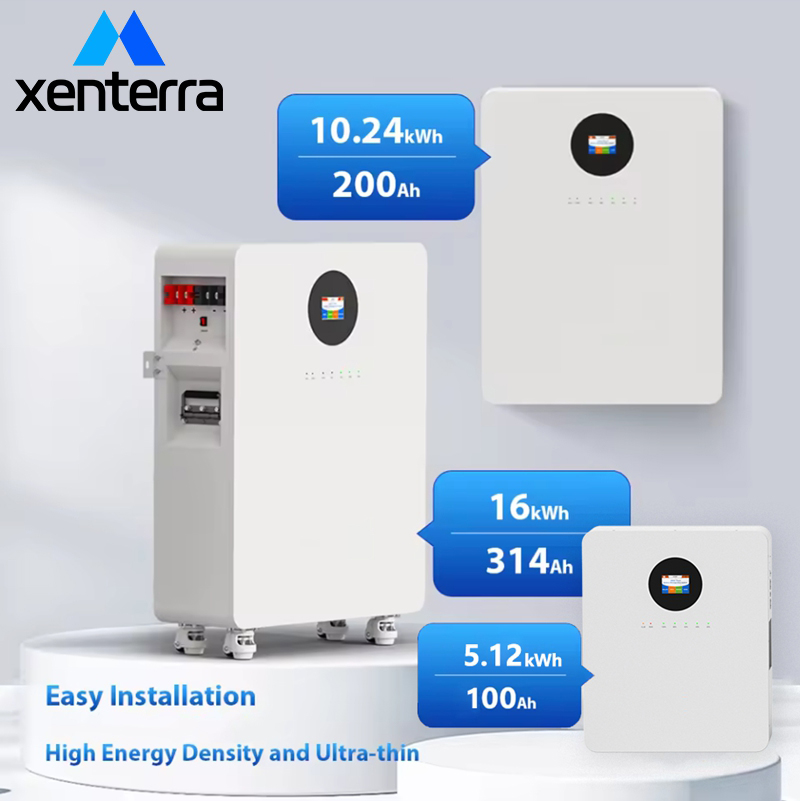 Wall Mounted Small 5kw Solar Battery Lithium Ion Batteries Popular 51.2v 100ah Lifepo4 ESS Battery With Bt