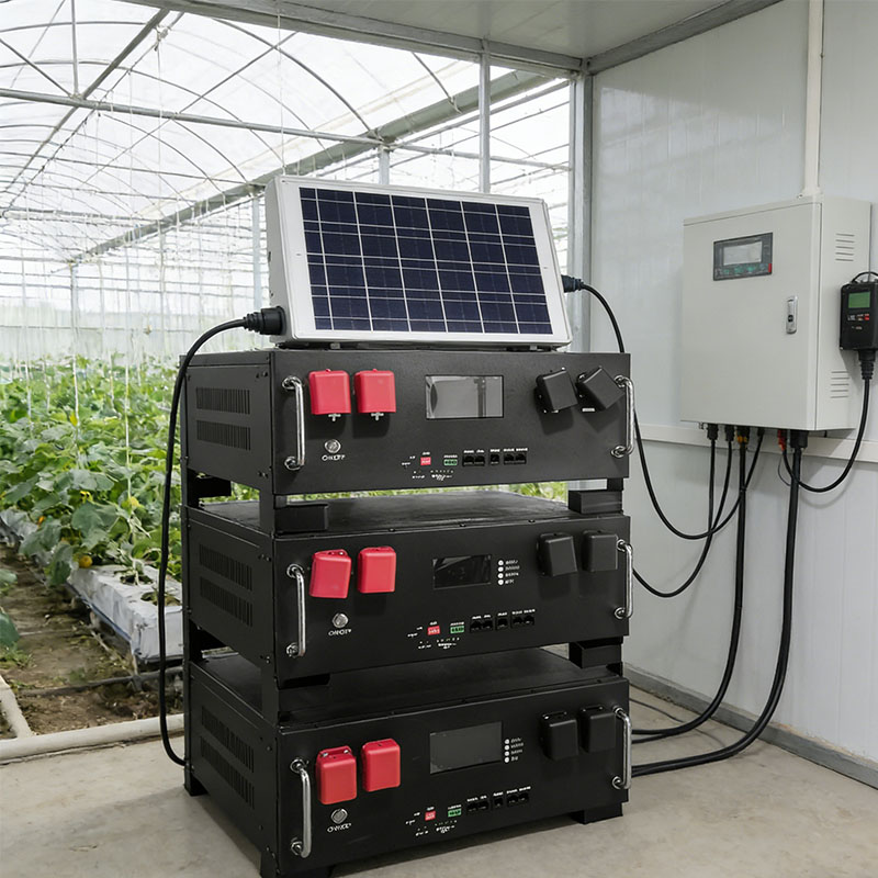 51.2v 48v 5kwh 15kwh 20kwh 25kwh Battery Solar Inverter 12v 24v 100ah 200ah 300ah Lifepo4 Rack Mounted Battery