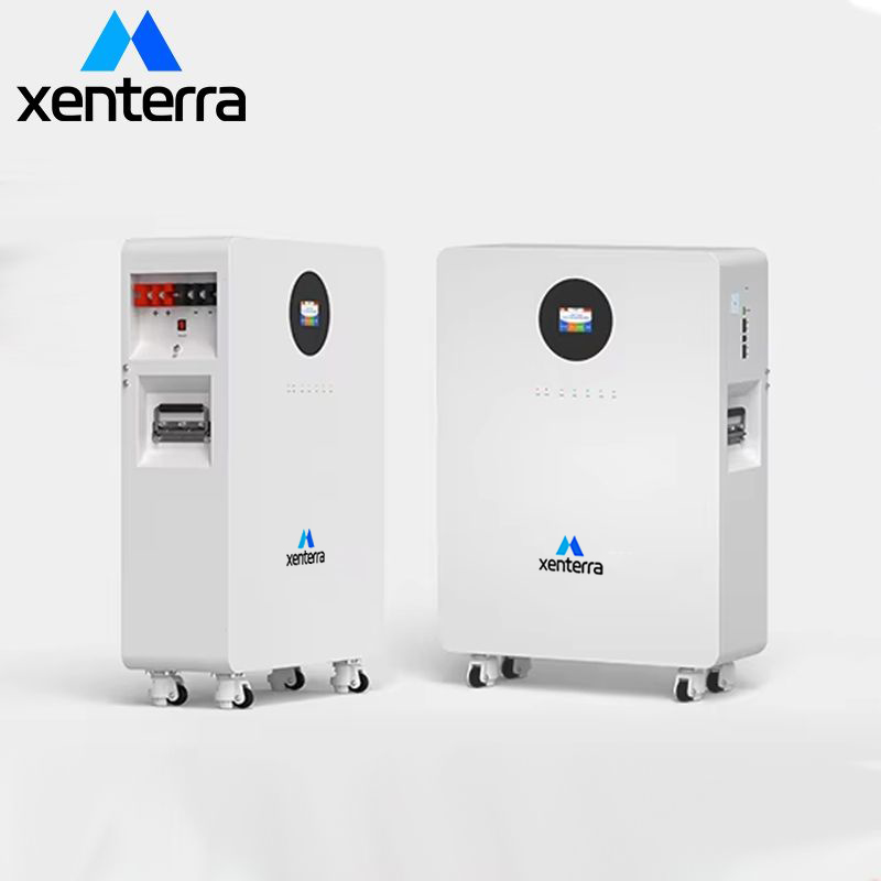 8000+ Cycle 5- 10 Years Warranty LFP 10Kw 15Kwh Lifepo4 Battery Pack 51.2V 300Ah 48V Battery Packs Solar Lifepo4 Batteries