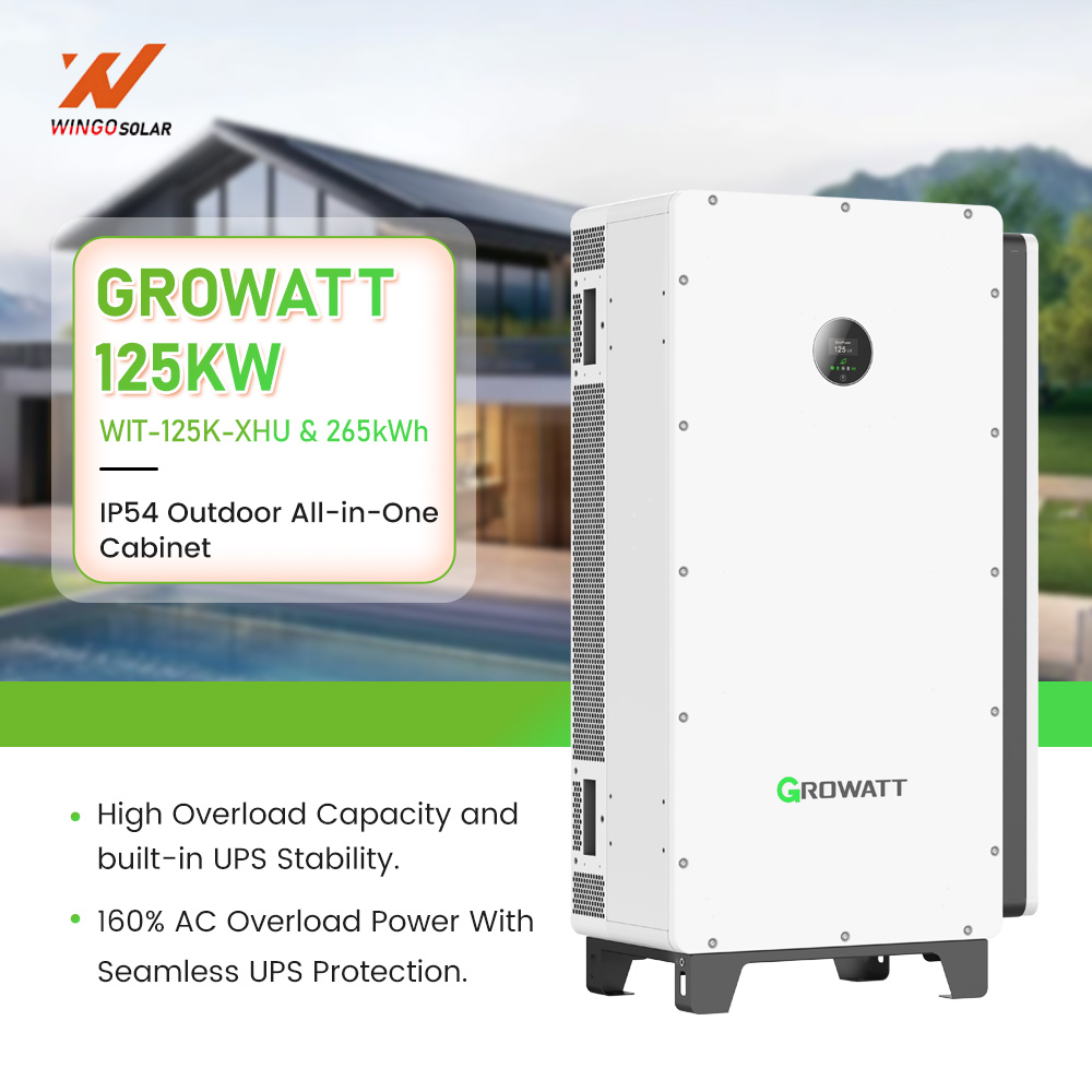 T 125kW Growatt Three Phase Solar Inverter with 261kWh Lithium Battery Cabinet Grid-Tied Off-Grid Hybrid ESS