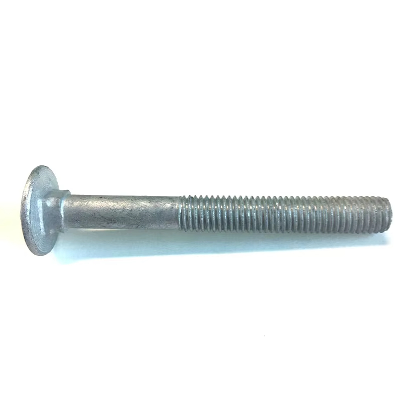 High Quality Zinc-Plated Carbon Steel Fastener Flat Head Bolts Carriage Bolt 5/16 Bolt