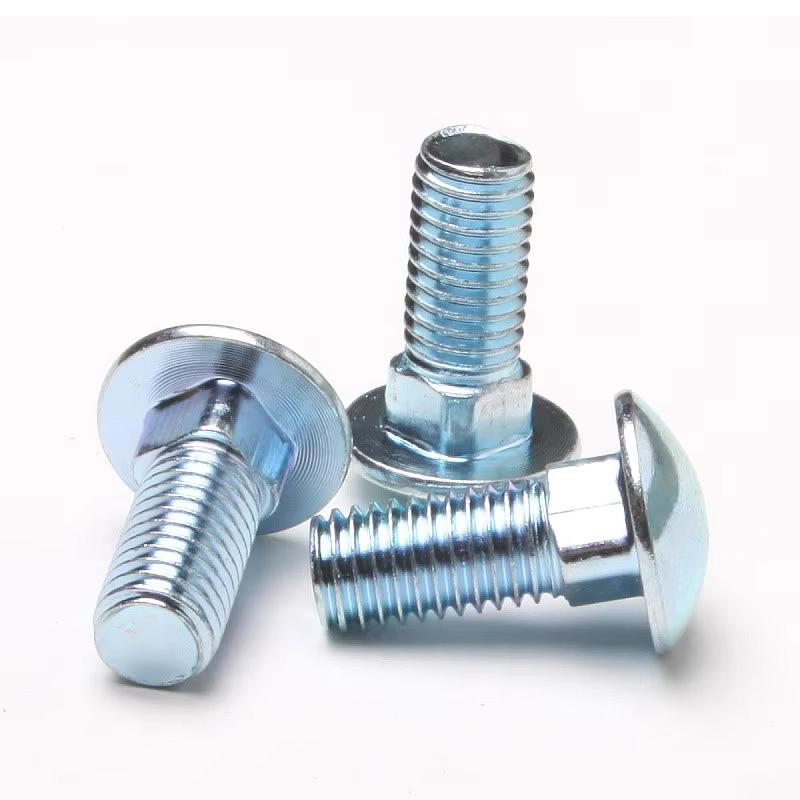 Stainless Steel Carriage Bolt for Marine Application