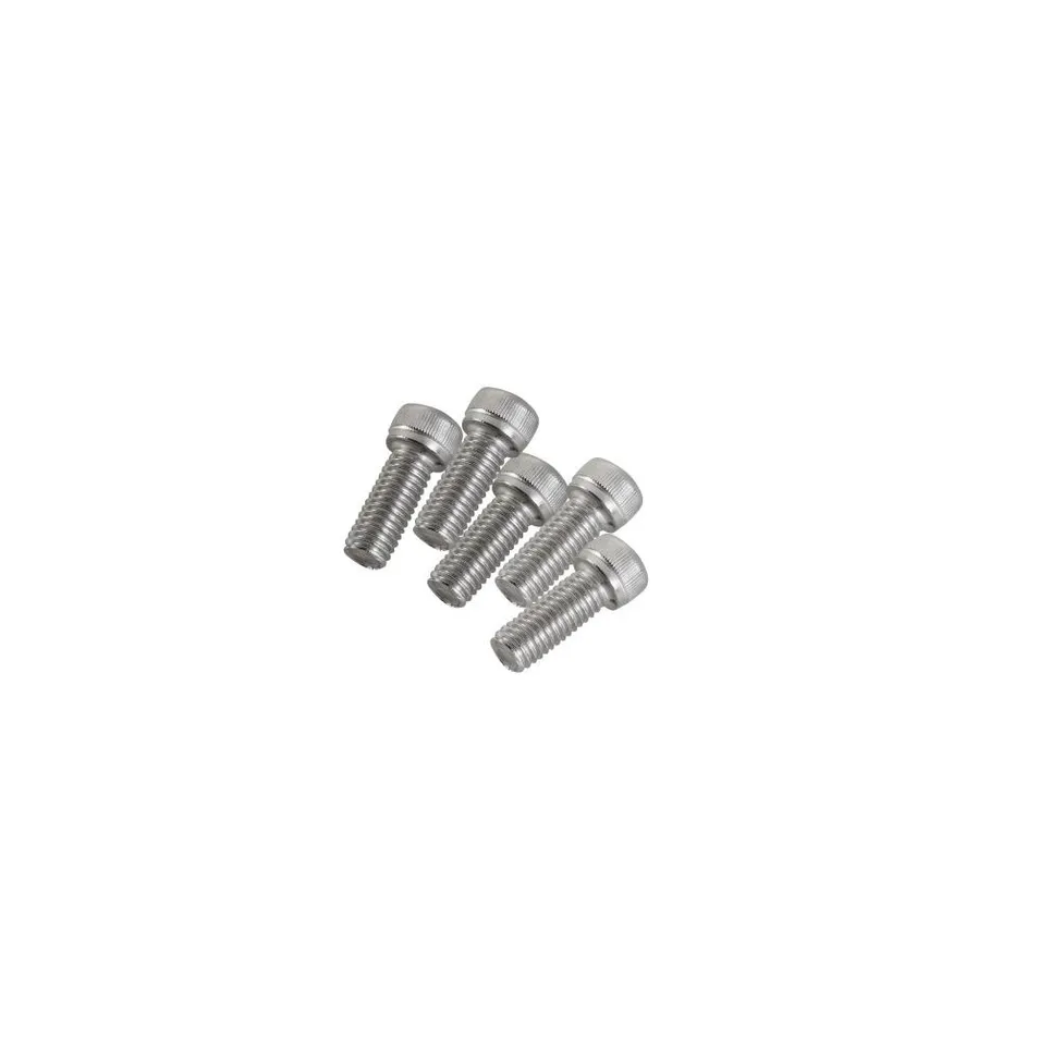 Solar Panel Screws