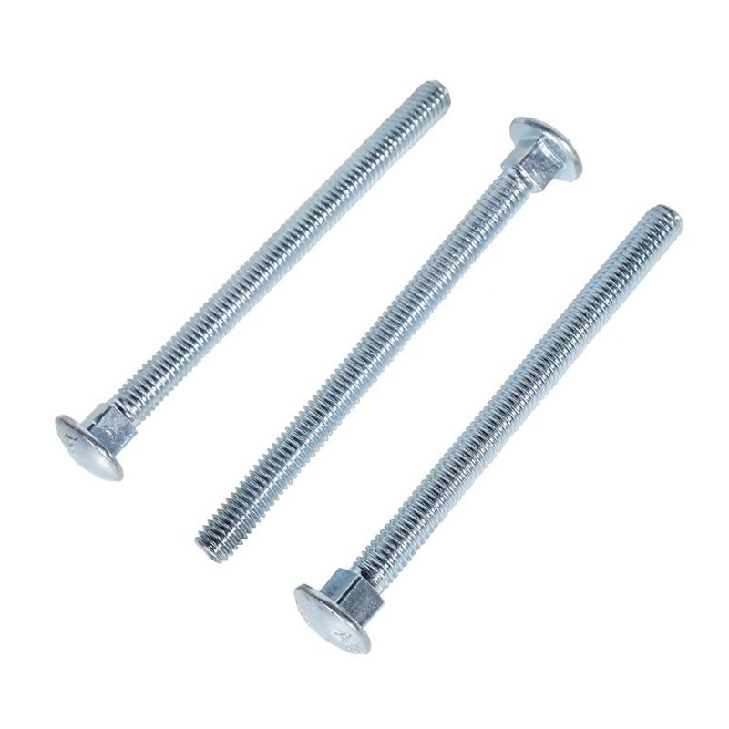 Stainless Steel Carriage Bolt for Marine Application
