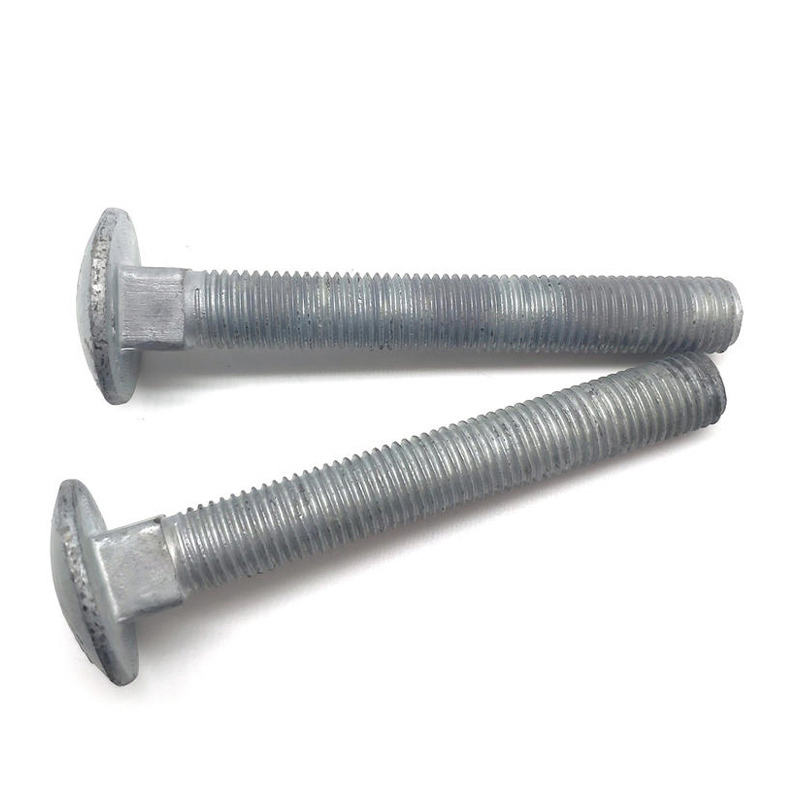 Stainless Steel Carriage Bolt for Marine Application