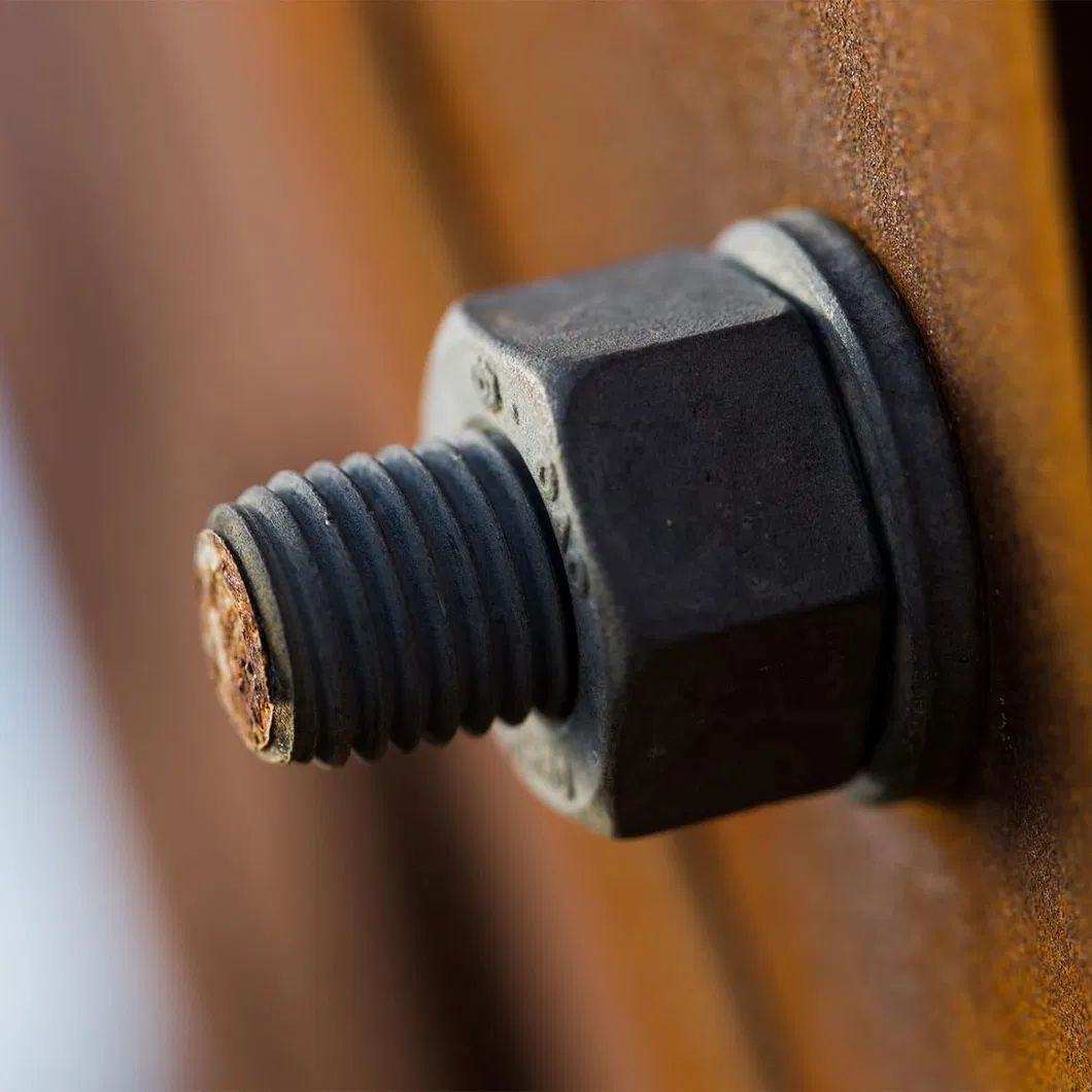 Black Oxidized Fasteners