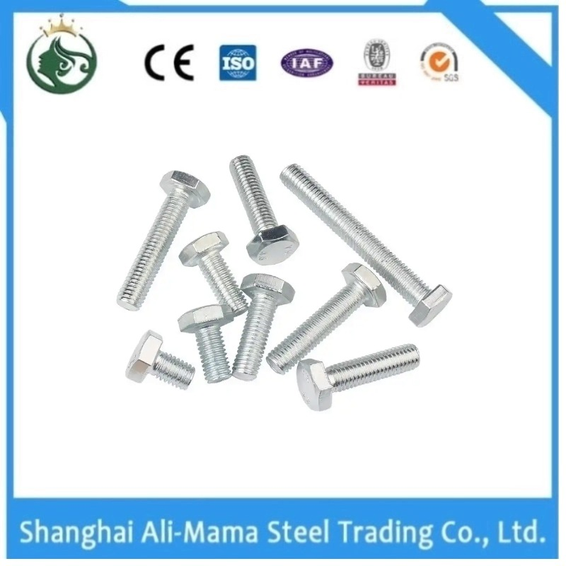Stainless Steel Nut Construction Fastener Grade 4.8/8.8/10.9/12.9