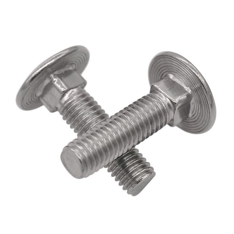 Stainless Steel Carriage Bolt for Marine Application