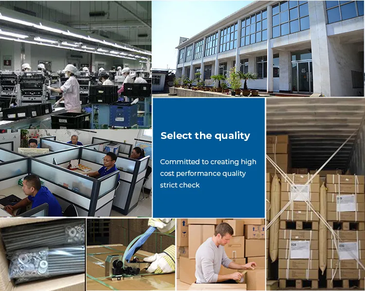 Product Specification