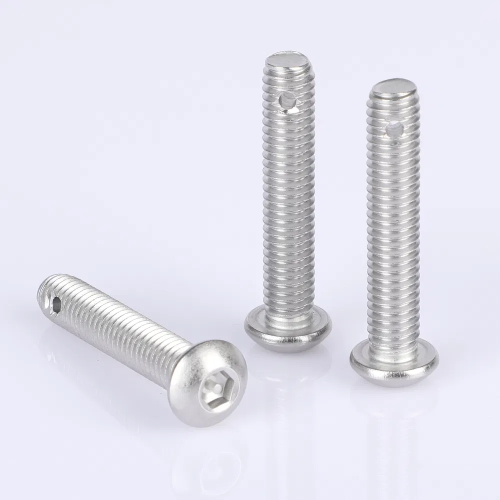 Weatherproof 316 Grade Stainless Steel Tamper-Resistant Safety Screw for Security Equipment