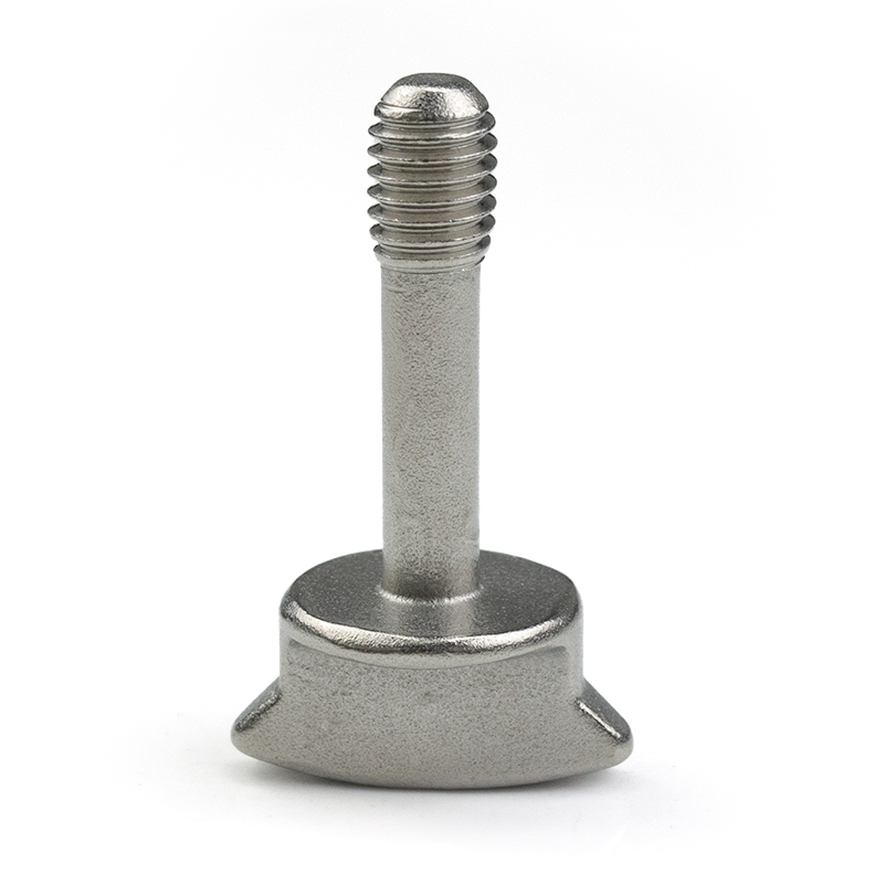 Stainless Steel Custom Metal Parts Non-Standard Threaded Screws