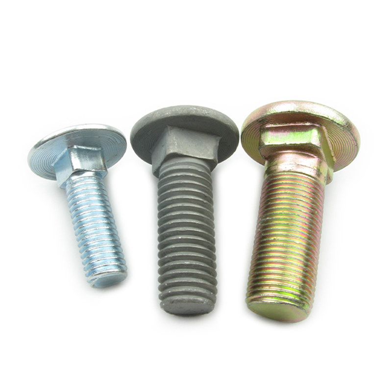 Stainless Steel Carriage Bolt for Marine Application
