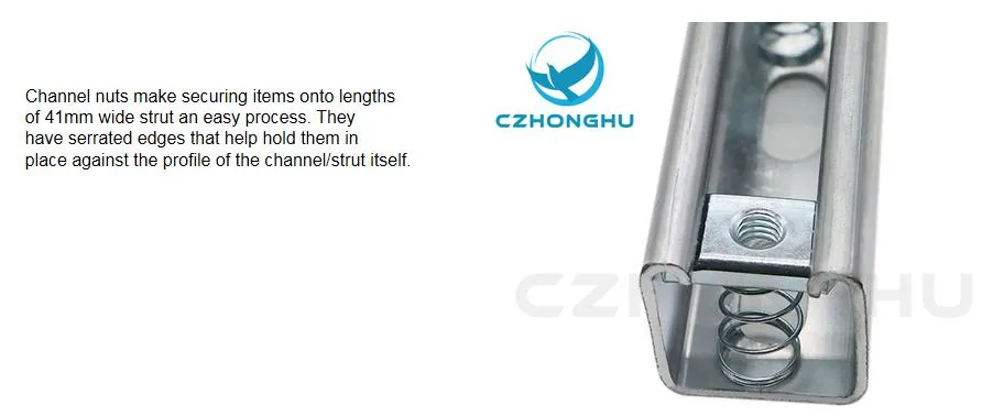 Strut Channel Nut Bottom View