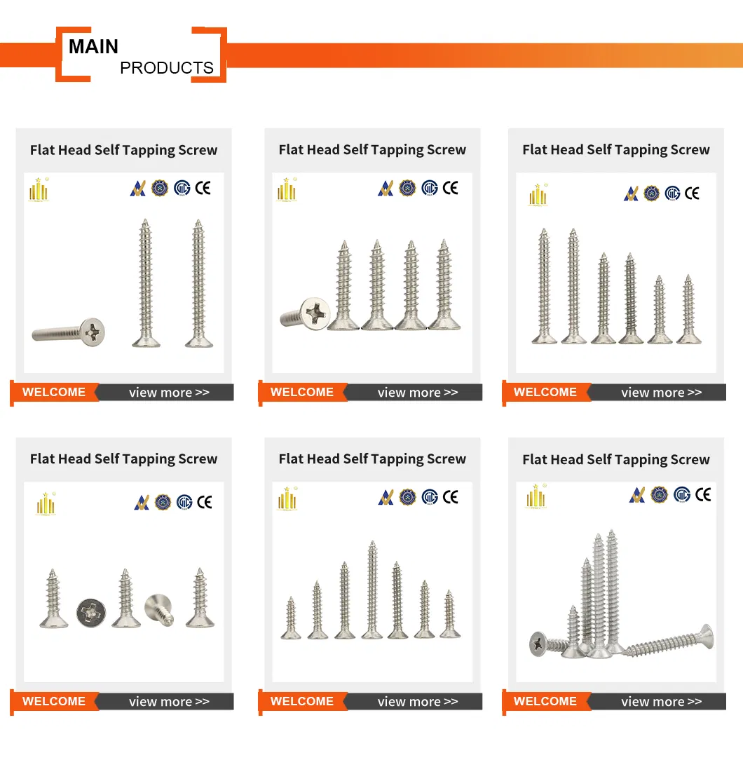 Stainless Steel Screw Detail