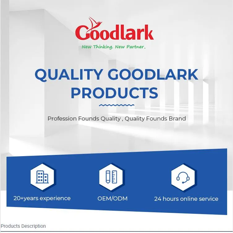 Oval Belt Fastener Detail