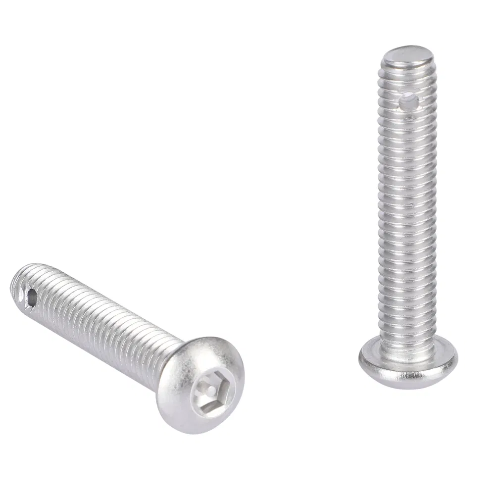 Weatherproof 316 Grade Stainless Steel Tamper-Resistant Safety Screw for Security Equipment