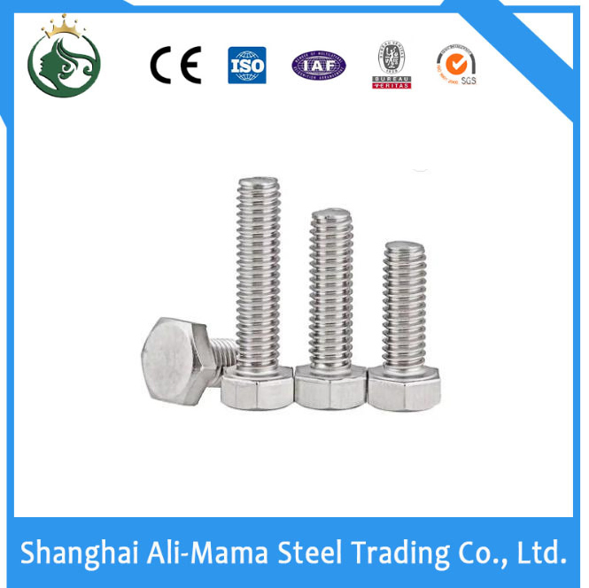 Stainless Steel Nut Construction Fastener Grade 4.8/8.8/10.9/12.9