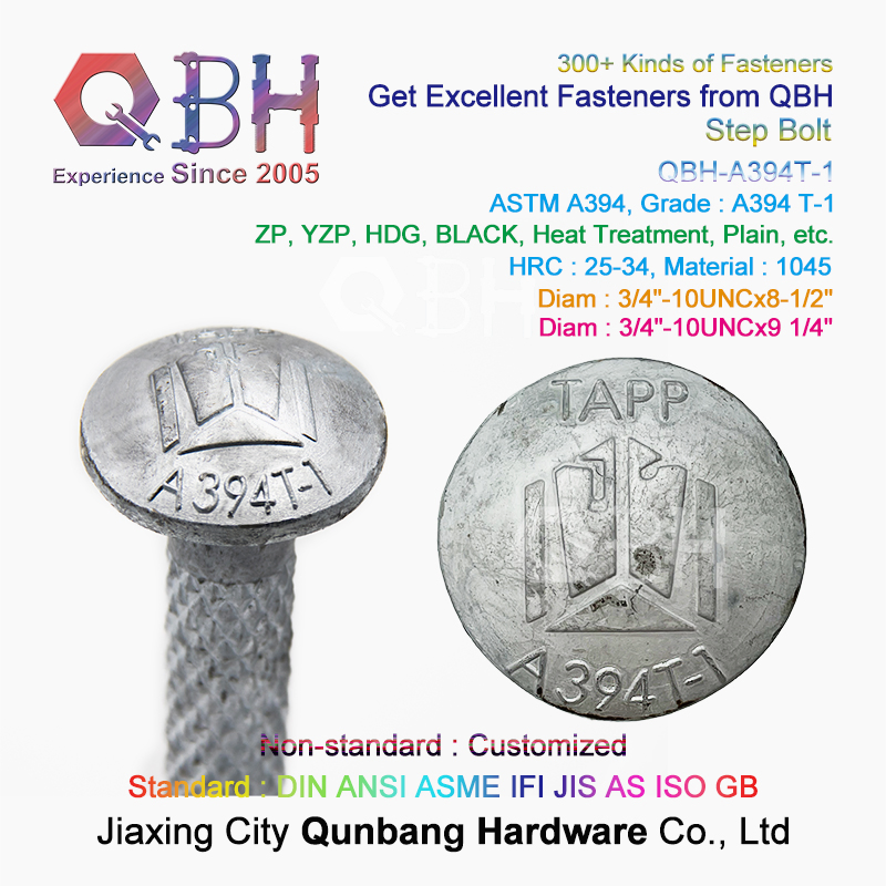 Qbh Customized ASTM A394 Knurled Substations Steel Communication Electrical Transmission Tower Reinforcement Step Bolt Nut External/Internal Threaded Fasteners