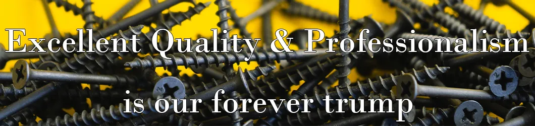 Customization Options