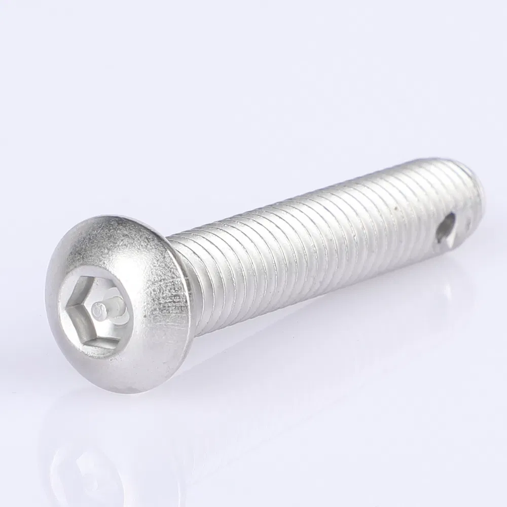 Weatherproof 316 Grade Stainless Steel Tamper-Resistant Safety Screw for Security Equipment