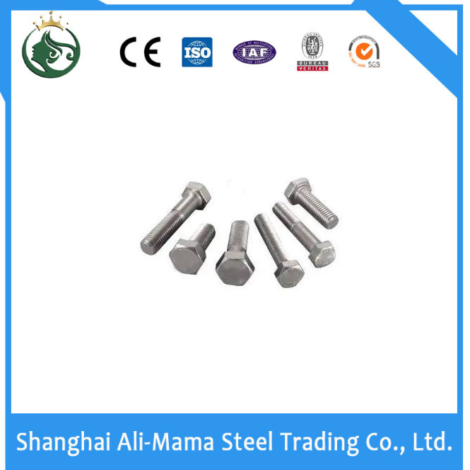 Stainless Steel Nut Construction Fastener Grade 4.8/8.8/10.9/12.9