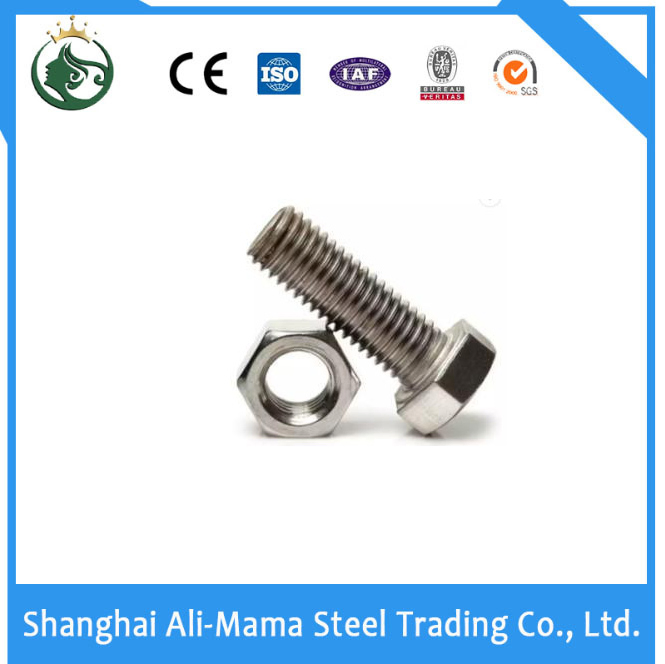 Stainless Steel Nut Construction Fastener Grade 4.8/8.8/10.9/12.9