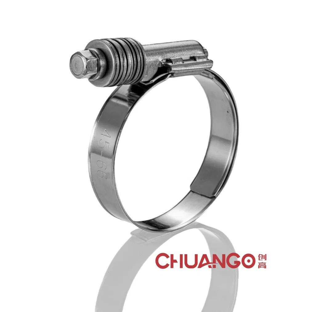 Adjustable Constant Torque Perforated Hose Clamp Water and Air Lines, Spring Washer, American Type, Stainless Steel, 32-54 mm, Automotive Parts, China Fastener