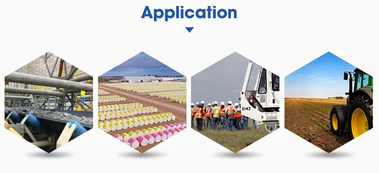 Application Scenario