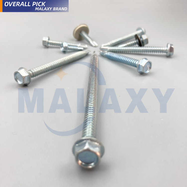 Malaxy Premium Heavy-Duty Stainless Steel Weatherproof Roofing Screws