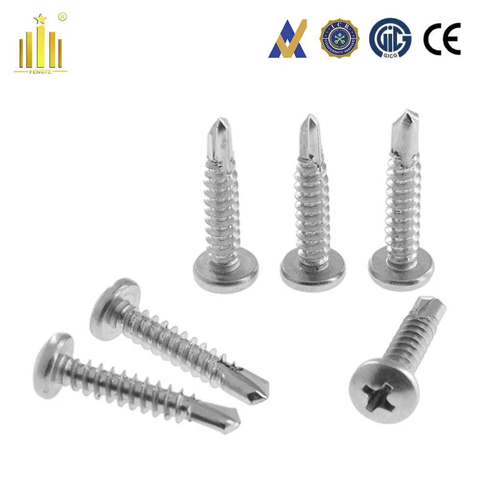 DIN7504m Weatherproof SS304 Pan-Head Self-Drilling Screws for Outdoor Structure Fastening