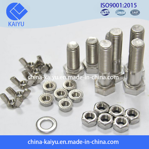 Customized High Precision Stainless Steel Stainless Steel Fasteners