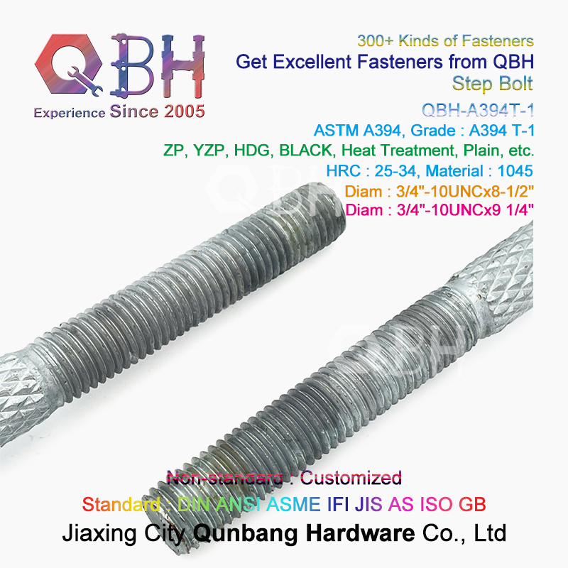 Qbh Customized ASTM A394 Knurled Substations Steel Communication Electrical Transmission Tower Reinforcement Step Bolt Nut External/Internal Threaded Fasteners