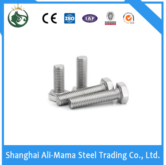 Stainless Steel Nut Construction Fastener Grade 4.8/8.8/10.9/12.9
