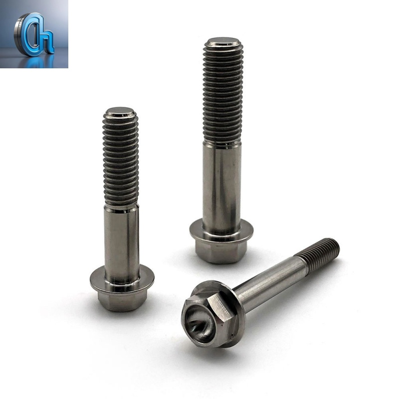 Customized Gr5 High-Strength Titanium Alloy Screw and Nut Fasteners - Corrosion-Resistant Industrial Fastener Manufacturer - OEM Metric